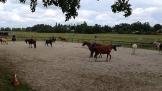 Circling Game - Helping Horse Style screenshot 1