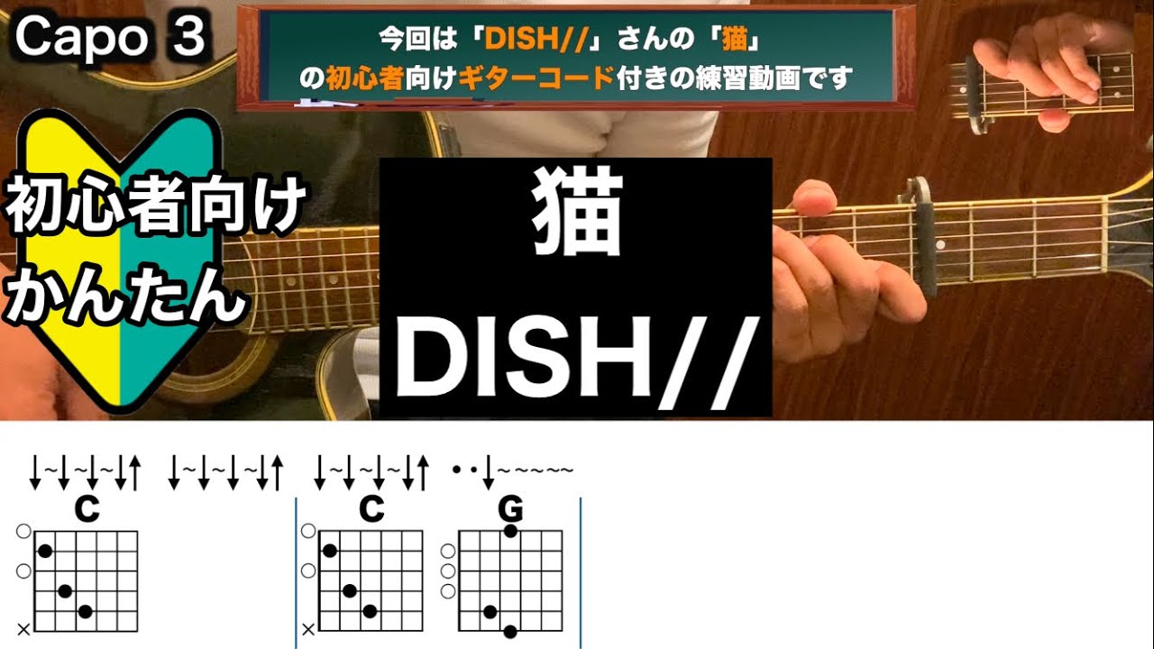 猫/DISH//ギター/コード/弾き語り/初心者向け/簡単