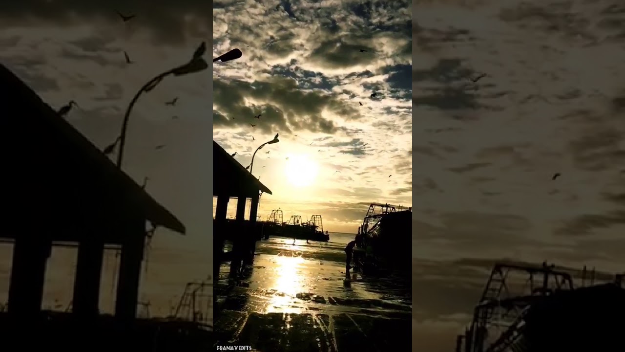 Watch Sunset | status video | charlie bgm | malayalam | pranav edits on YouTube Watch Sunset | status video | charlie bgm | malayalam | pranav edits on YouTube