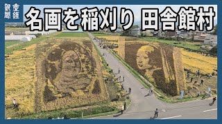 【日本の四季】名画を稲刈り　青森・田舎館村、700人参加