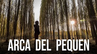 Me Enfrento A Un Avestruz En Arca Del Pequen Coinco - Ohiggins