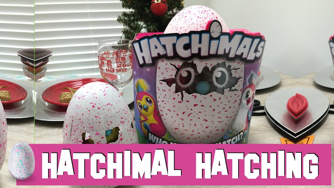 HATCHIMAL HATCHING KJ TAKEOVER YouTube