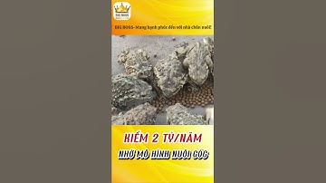 KIẾM XU TỪ MÔ HÌNH NUÔI CÓC