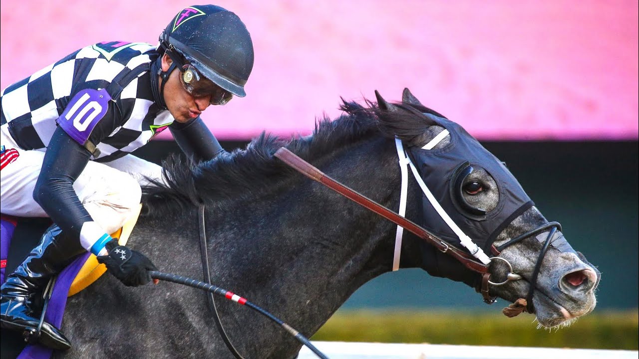 speed-king-wins-the-2025-southwest-stakes-g3-youtube