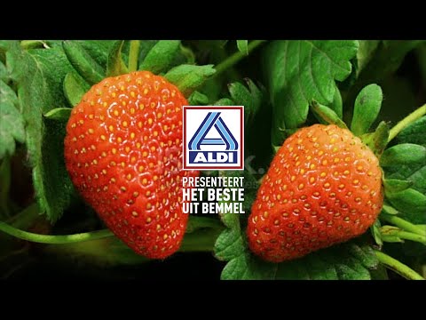 ALDI ? Net zo vers van eigen bodem, maar dan voor een ALDI prijs.