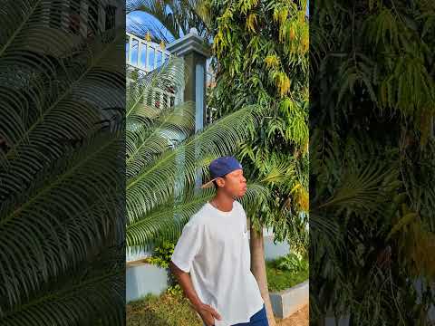 Funny Comedy Trendingreels Huyujamaa Ameshindikana Avunjambavu Tena Mamilion Ya Watu