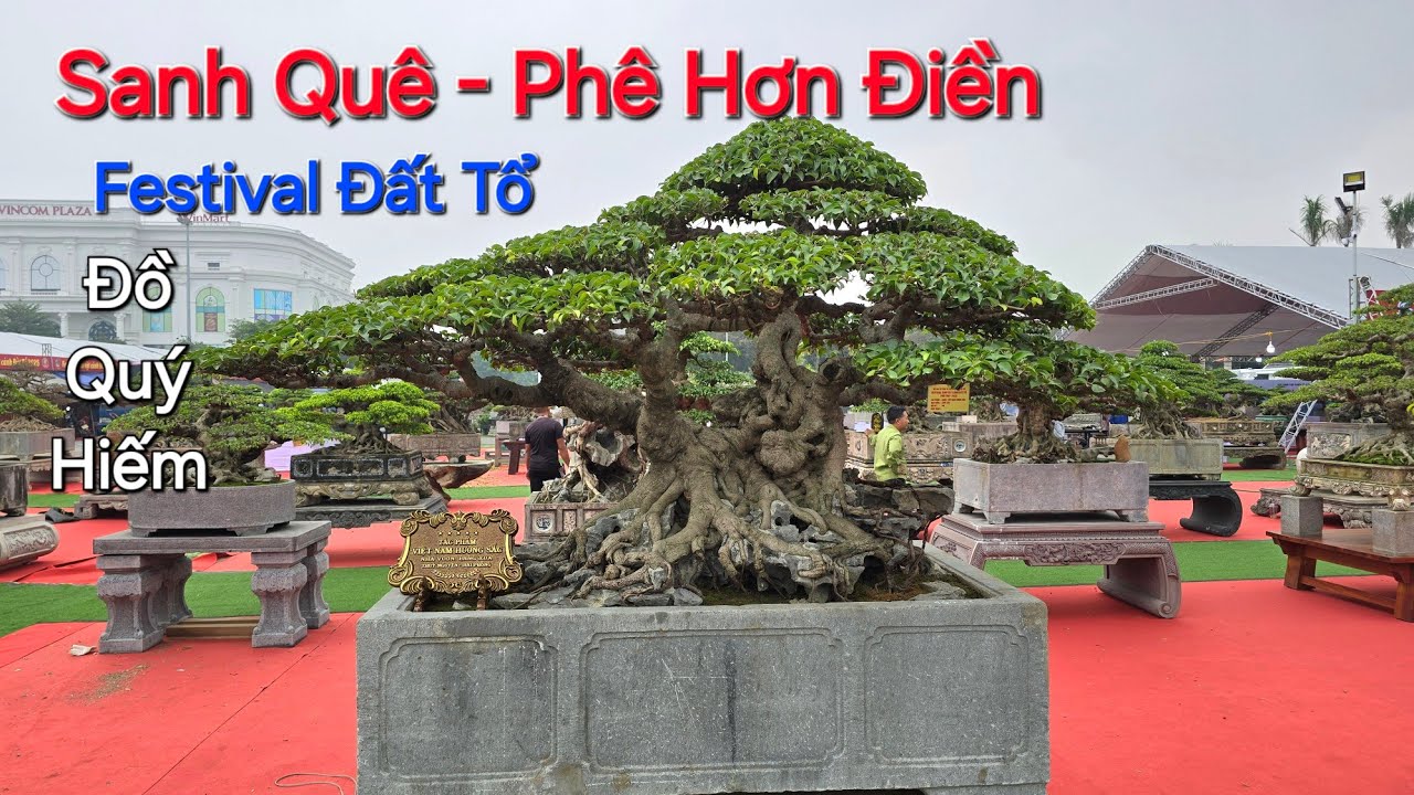 Anh Em XÚM LẠI XEM TP Sanh Quê * PHOM ĐẲNG CẤP QUỐC TẾ * tại FESTIVAL PHÚ THỌ 2025 .