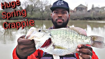Huge Spring Crappie Are Spawning HERE NOW!!!!!!