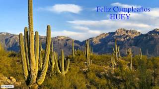 Huey  Nature & Naturaleza - Happy Birthday