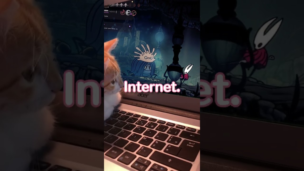 POV: your mind wanders really easily  #memes #vtuberclips #shortsfeed #silksong