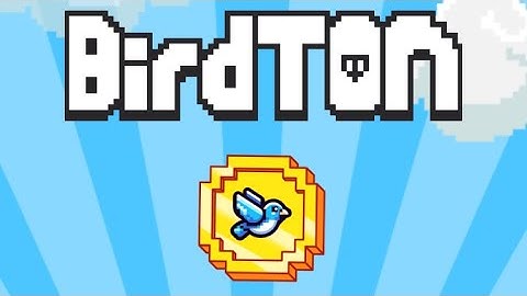 Bird Daily Combo October 3, 2024! Penguin plays BirdTon