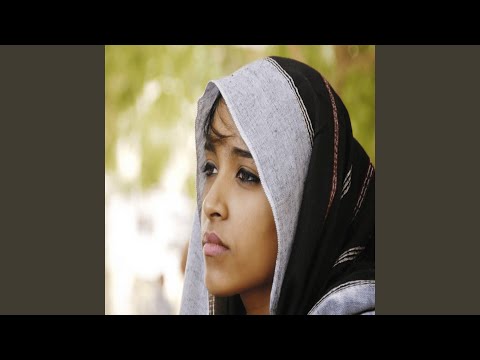 زولي المهذب