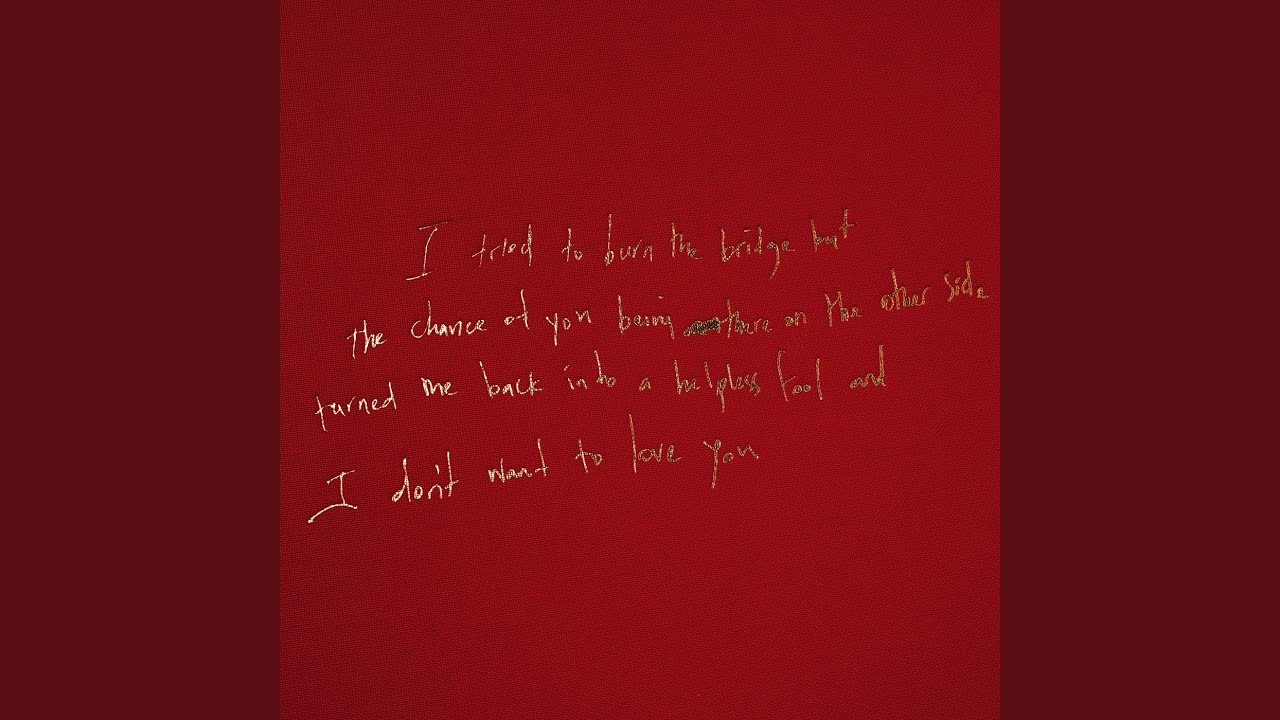 I Don`t Wanna Love You