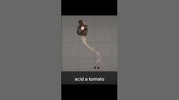 How to get Canned tomato head in melon play ground #melonplaygroud