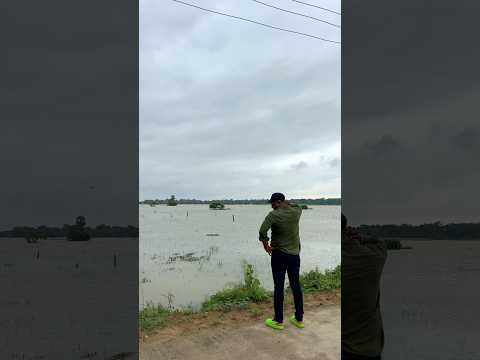ଭଦ୍ରକରେ କୁମ୍ଭୀର ପ୍ରତି ସାବଧାନ 🐊 #basudevvlogs