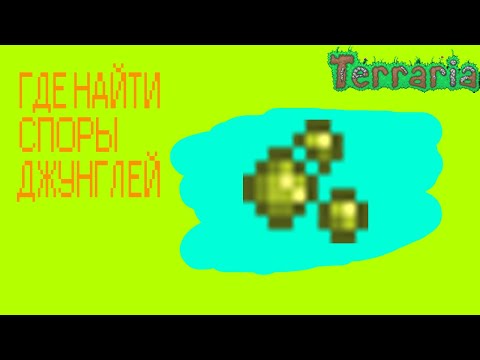 ГДЕ НАЙТИ СПОРЫ ДЖУНГЛЕЙ И ЗАЧЕМ ОНИ НУЖНЫ?/TERRARIA/ГАЙД 2020