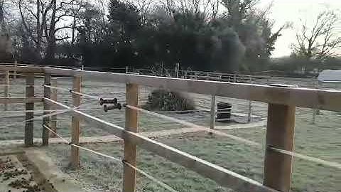 Frosty morning on a mini-mini-track of MUDCONTROL slabs.