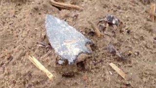 BEST Point Last! ~ 415 Artifact Find! Apr 2016