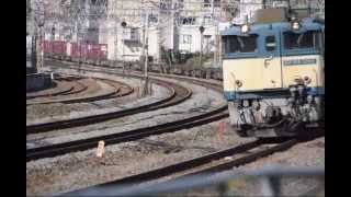 20150203 3075レ EF64東海道貨物