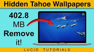 Your Mac Is Full? Remove These Wallpapers on macOS Tahoe Now! screenshot 4