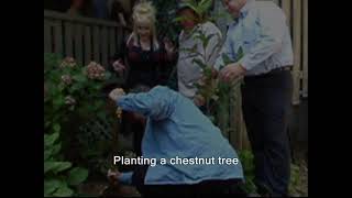 O Chestnut Tree: A Dollymania News Video