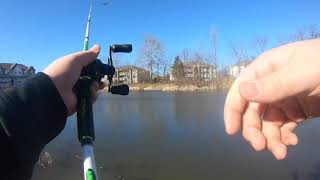Shimano SLX Dc vs. Lews Mach1