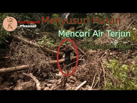 Video: Mendaki Ke Hutan Di Utara Nizhny Novgorod Untuk Mencari Anomali - Pandangan Alternatif