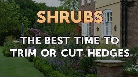 The Best Time to Trim or Cut Hedges