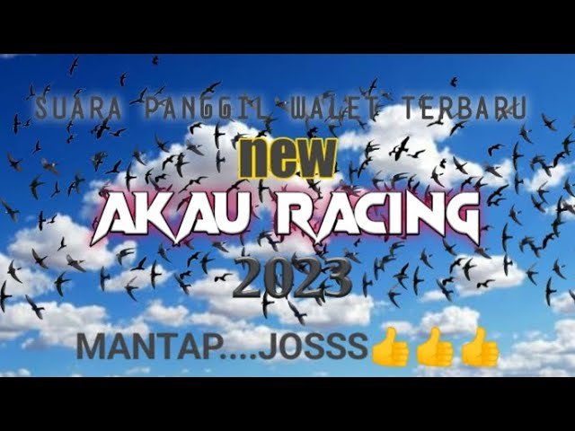 SP.AKAU RACING 2023_  SUARA PANGGIL WALET TERBARU_mantap joss class=