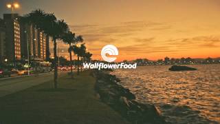 Apollo Zero ft. The Human League - I Still Love U (Free Download Here!)