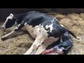 PDSI Educational Video