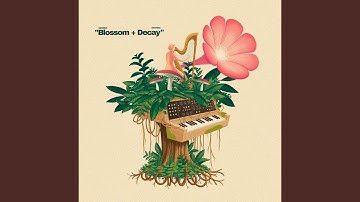 Thumbnail of Blossom