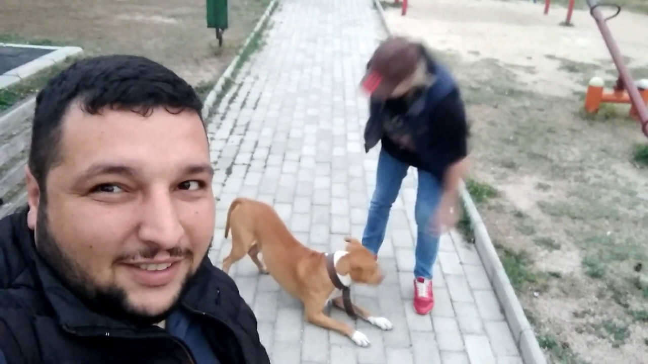 preview_player