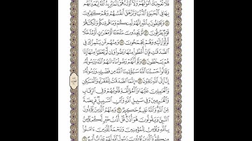 الوجه 196 من القرآن مكرر ١٠ مرات مع الآيات | سورة التوبة | الشيخ خليفة الطنيجي