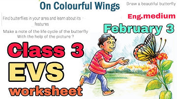 Victers Class 3 EVS worksheet February 3 English medium