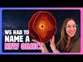 JWST Found Something New: Black Hole Stars