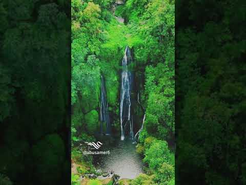 شلال باني أومالا في بالي Banyumala Warefall In Bali