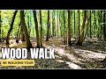 Relaxing 4K Woodland Walk | English Countryside & Woods Walking Tour 4K Walk | August 2025
