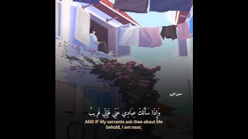 قرآن كريم بصوت عبد الباسط عبد الصمد || حالات واتساب قرآن || أيات مؤثره