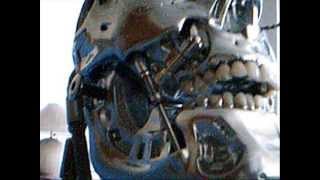 Terminator head Programable (static display)