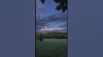 تلاوة من سورة الحجرات للشيخ احمد بن طالب #اكسبلور #foryou