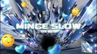 MINCE SLOW ( STEVE WUATEN ) REMIX 2025