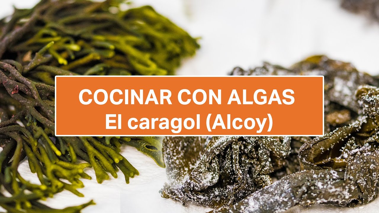 5 Tipos de Algas para cocinar | wakame , codium, espirulina