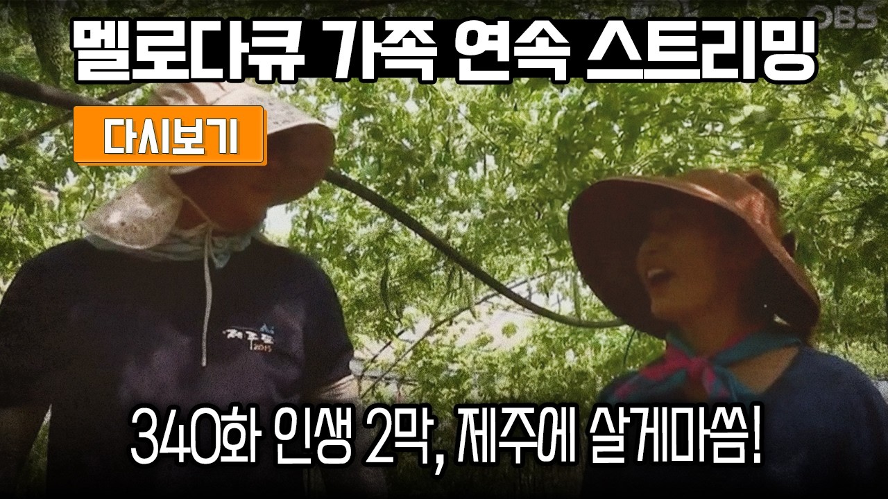 [다시보기] OBS 다시 보는 멜로다큐 가족 340화 인생 2막, 제주에 살게마씀! (풀영상)