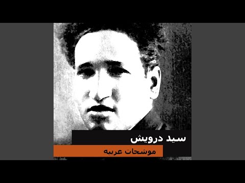 شد الحزام