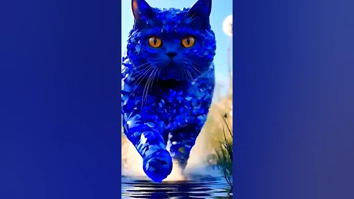 Video 11133391: persian siamese kitten, cute persian siamese, ragamuffin kittens, scottishfold, cat