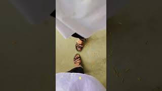 Bondhu Mane Ektu Pase Thaka Bengali Whatsapp Status Friends Love