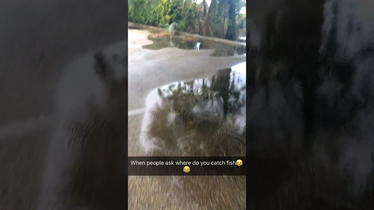 Catching fish in PARKING LOTS!? Only in Florida YouTube