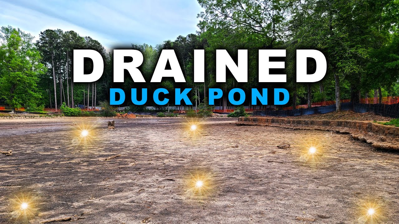 They DRAINED The Old DUCK POND, What Was Laying At The Bottom BLEW ME AWAY!