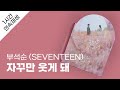 부석순 (SEVENTEEN) - 자꾸만 웃게 돼 1시간 연속 재생 / 가사 / Lyrics